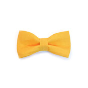 FCHS,  - AFT Bowtie